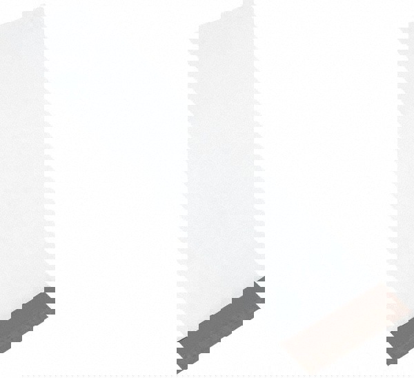 Courier Mailing Envelope: 8-1/2